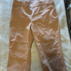 Briggs New York Capris